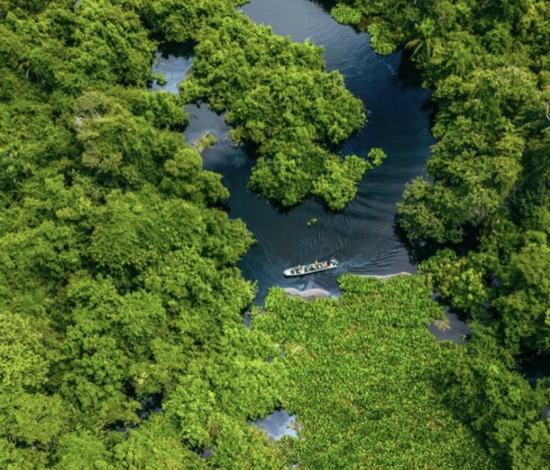 Roteiro Pantanal Completo: Dicas do que voc precisa saber