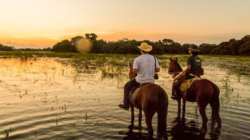 Como ir de Bonito para o Pantanal?