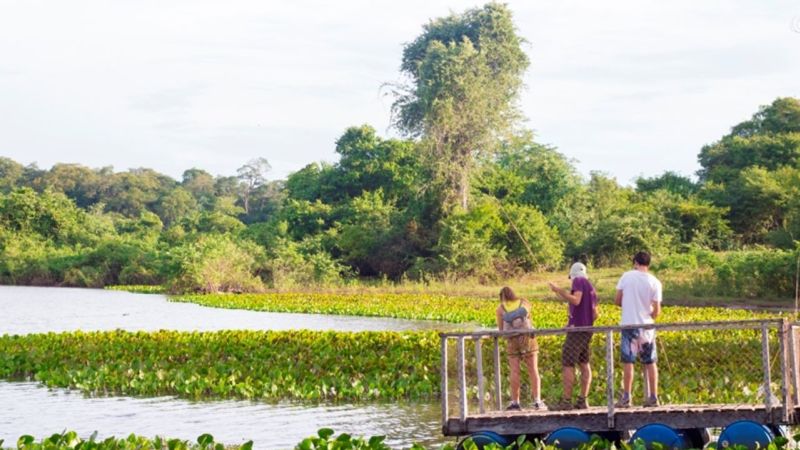 Como Ir De Bonito Para O Pantanal   Fazenda Aguap