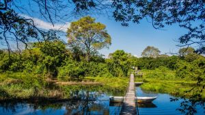 Quanto custa um pacote para o Pantanal?