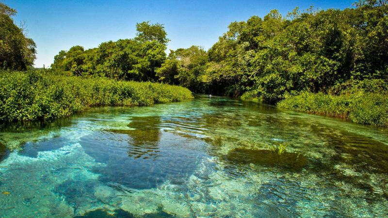 Quanto Custa Um Pacote Para O Pantanal (1)