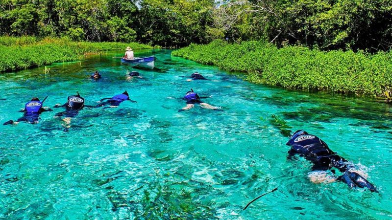 Rio Sucuri Bonito Ms (2)