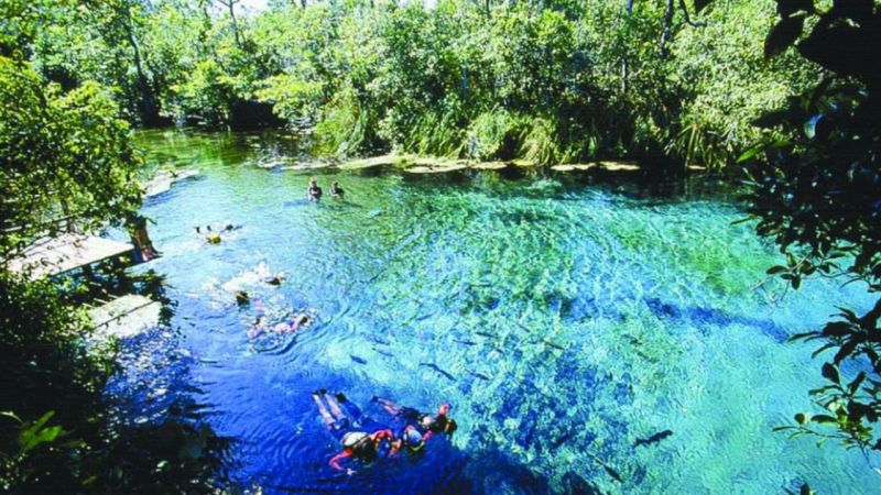 Jardim MS Rio Da Prata