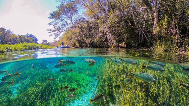 Qual O Lugar Mais Bonito Em Bonito (3)