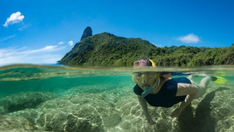 Fernando De Noronha Bonito Ou Jalapo (2)