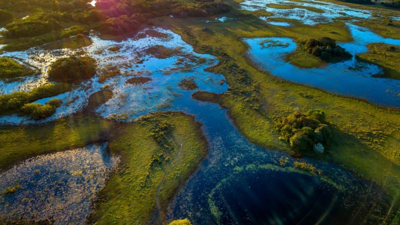 Onde Ficar No Pantanal (2)