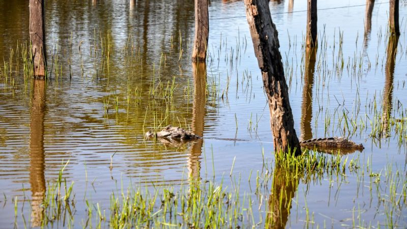 Onde Ficar No Pantanal (3)