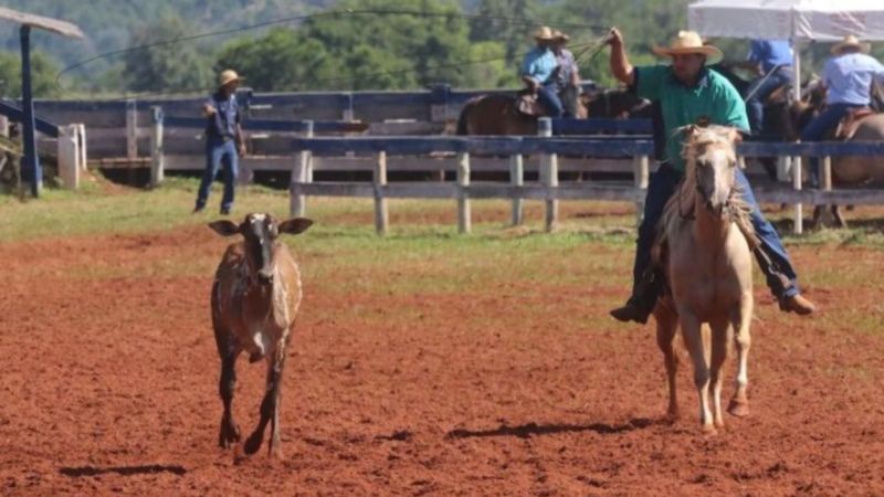 Festa Da Federao De Clubes De Lao (1)