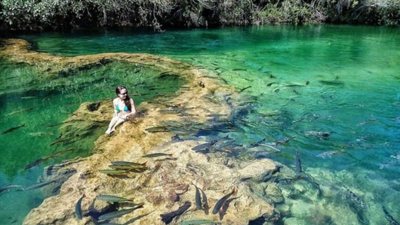 Parque Nacional Da Serra Da Bodoquena (3)