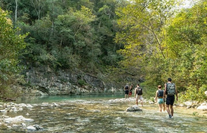 Cnions do Salobra