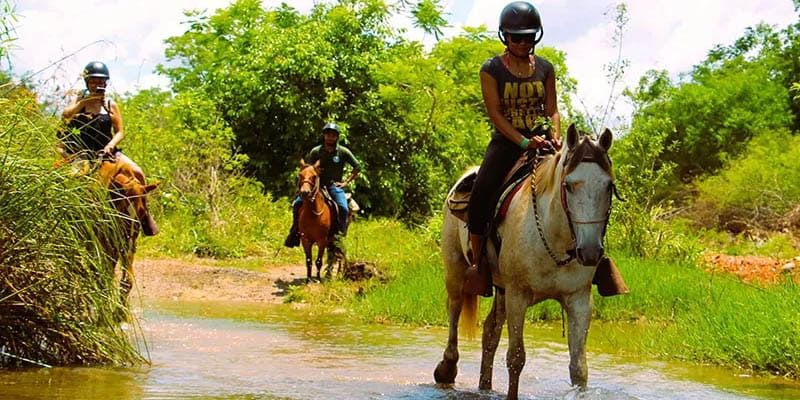 Cavalgada Parque Ecolgico