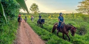 Cavalgada Parque Ecolgico