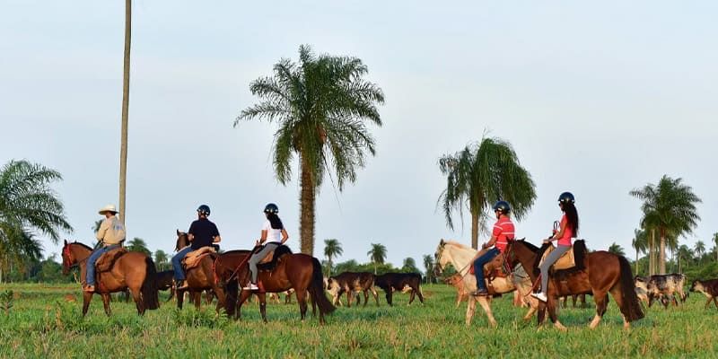 Cavalgada Rio da Prata