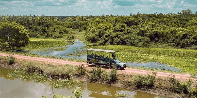 Fazenda San Francisco - Day use no Pantanal